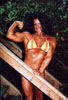 WPW-685 Debbie Bramwell DVD